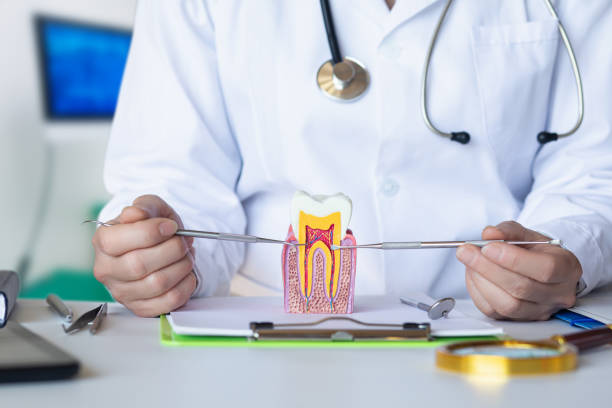 Best Emergency Broken Tooth Repair in Garden Plain, KS